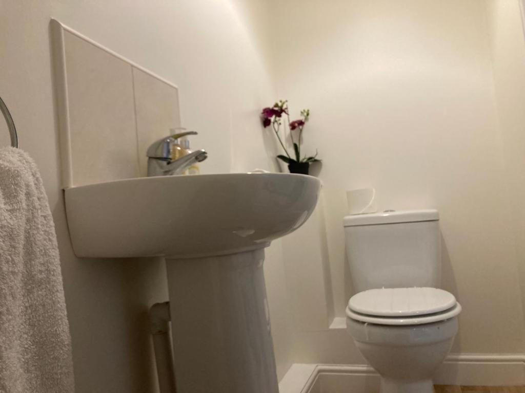 Cosy Home Near Hospital 칼라일 외부 사진